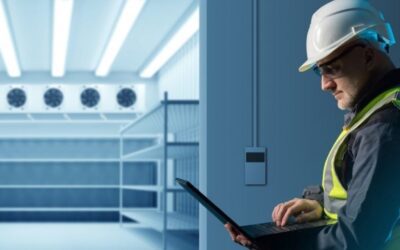 Importancia de los detectores de gases en cámaras de conservación de frutas en el sector alimentario